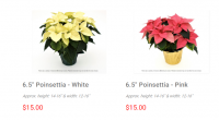 ATTENTION ALL STUDENTS AND PARENTS – ESPECIALLY GRADE 12’s!!!!! We have launched our 4th Annual Poinsettias and Wreath Sale  fundraiser to support the Grade 12 end of the year Safe After Grad Party [&hellip;]